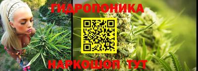 MDMA Можга