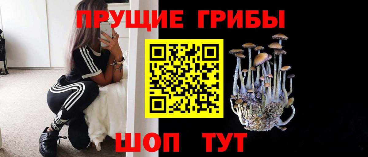 Псилоцибиновые грибы мицелий  Вход с VPN  Галлюциногенные грибы мицелий  Шелехов 